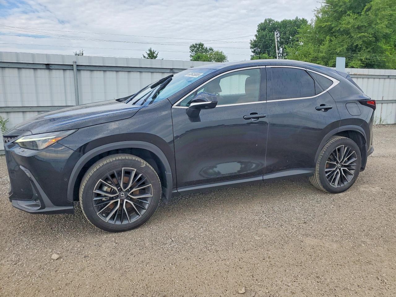 2022 LEXUS NX