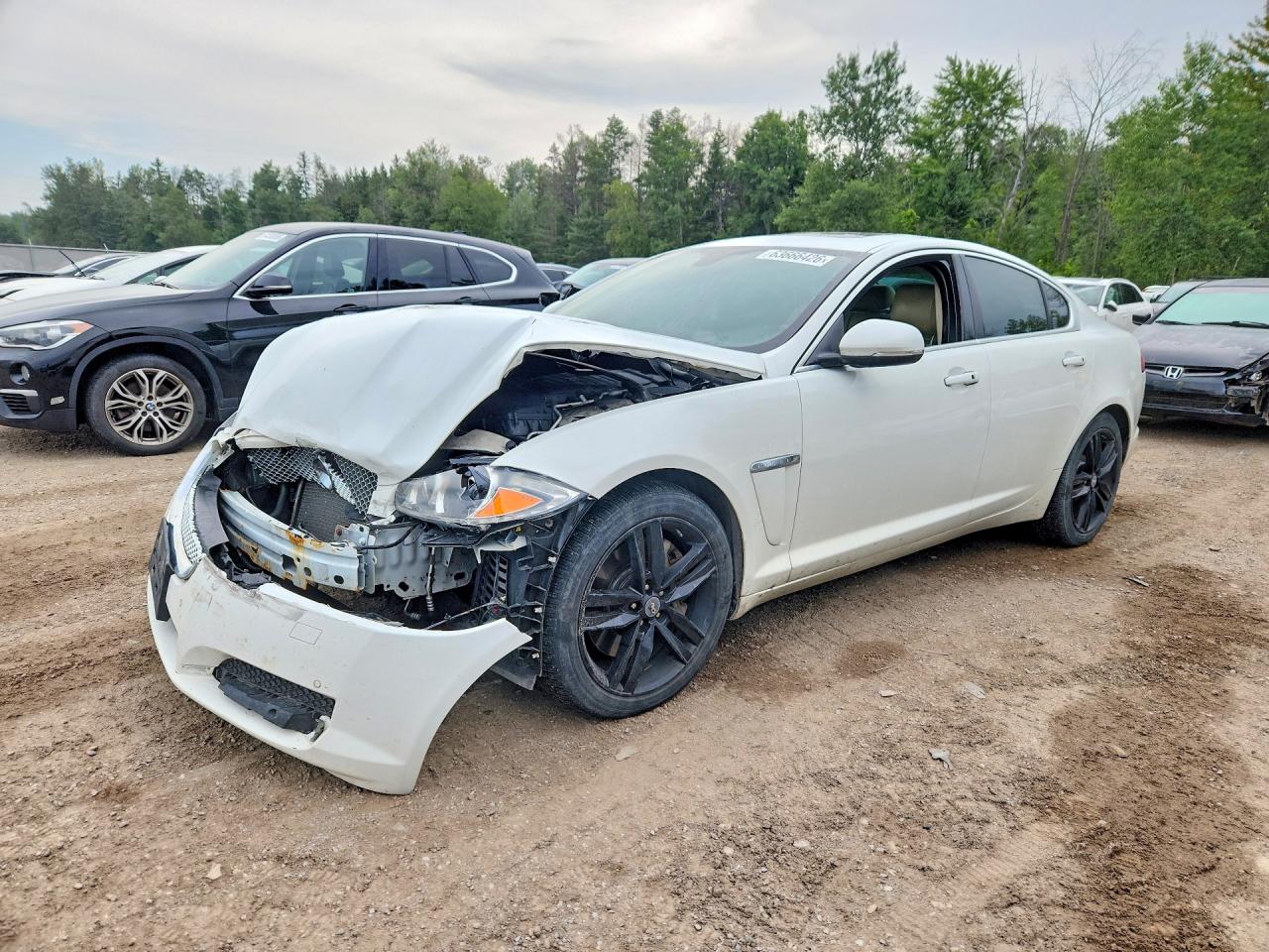 2013 JAGUAR XF