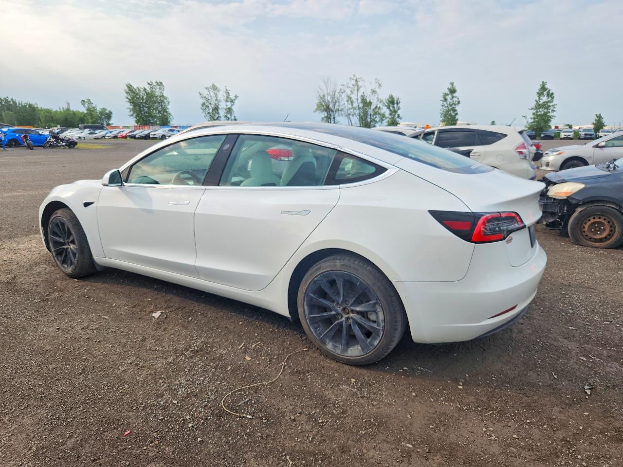 5YJ3E1EA5KF420296 · 2019 TESLA MODEL 3 · 2/12