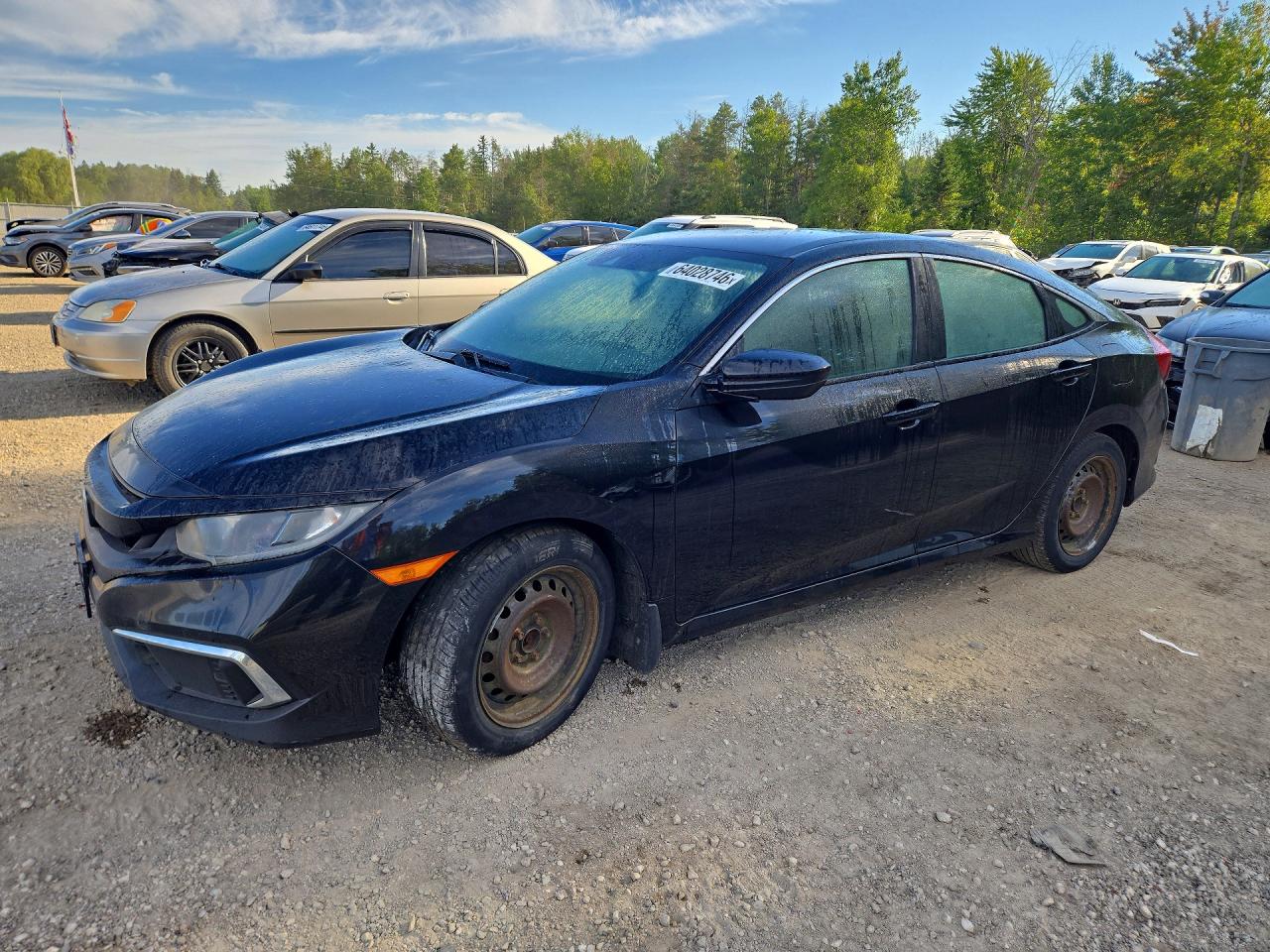 2019 HONDA CIVIC