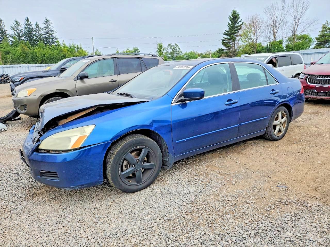 1HGCM56806A803097 · 2006 HONDA ACCORD