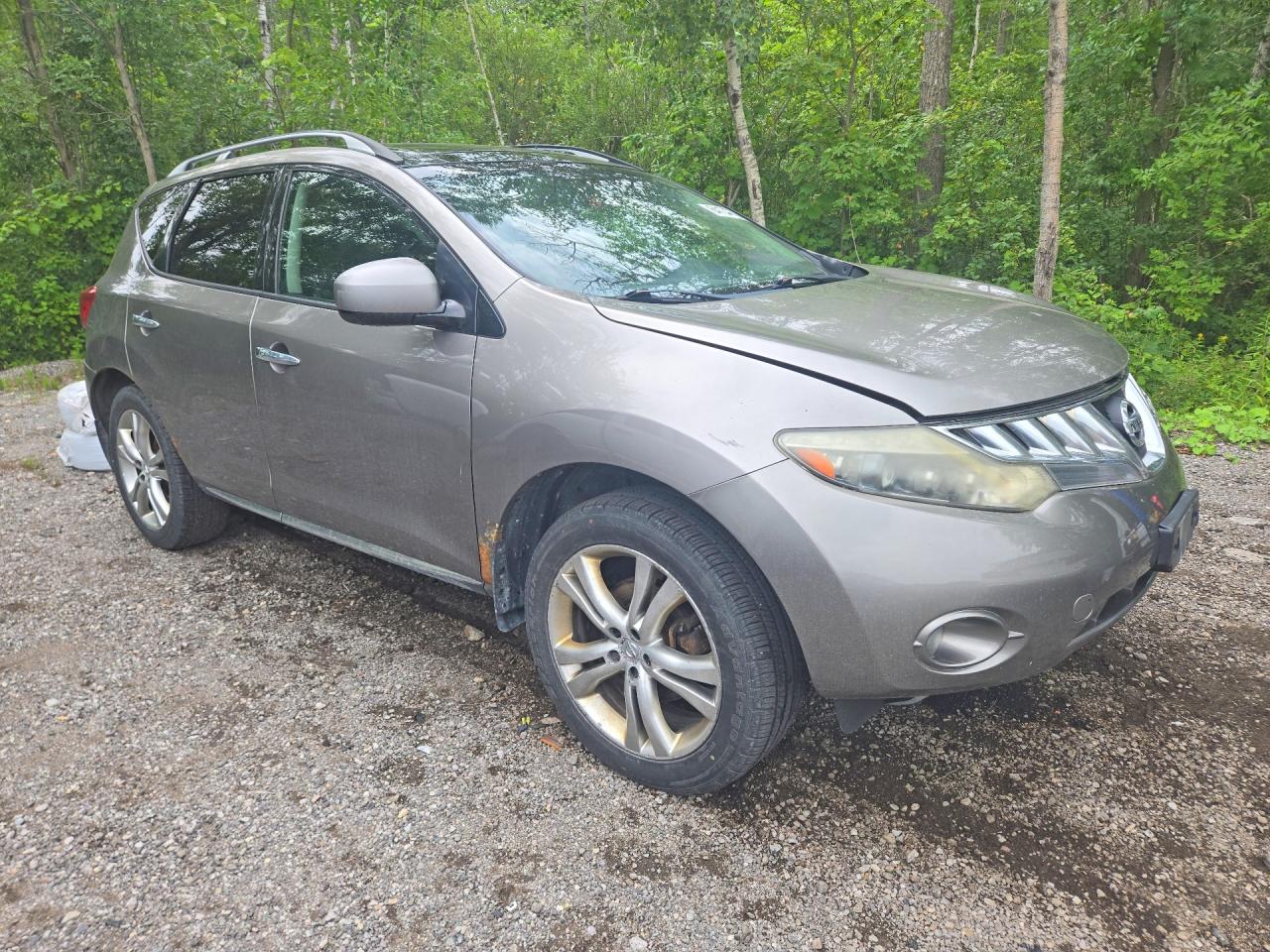 JN8AZ18W29W145824 · 2009 NISSAN MURANO · 4/13