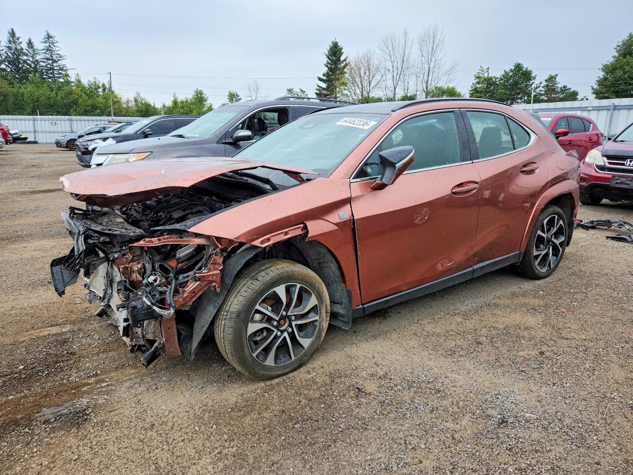 2025 LEXUS UX 300H