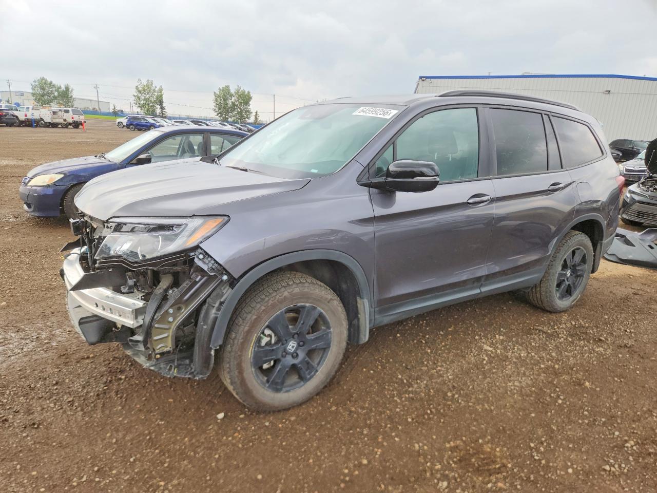 5FNYF6H86NB507881 · 2022 HONDA PILOT