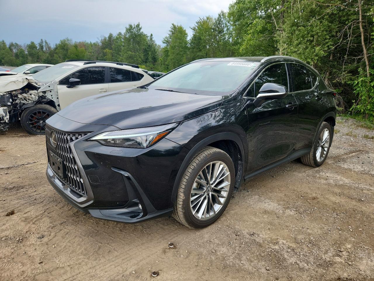2T2GGCEZ8TC****** · 2026 LEXUS NX