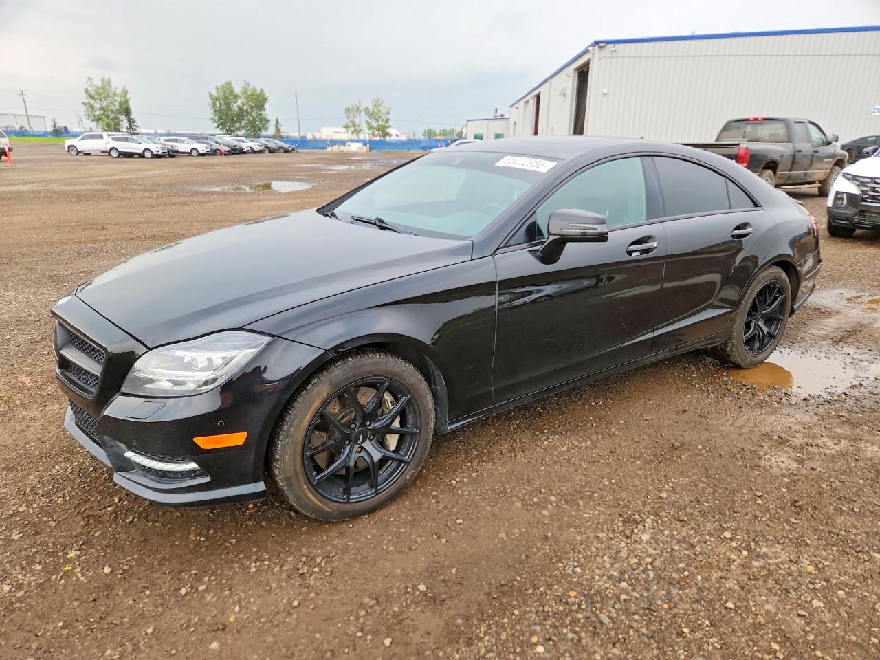 WDDLJ9BB0EA089976 · 2014 MERCEDES-BENZ CLS