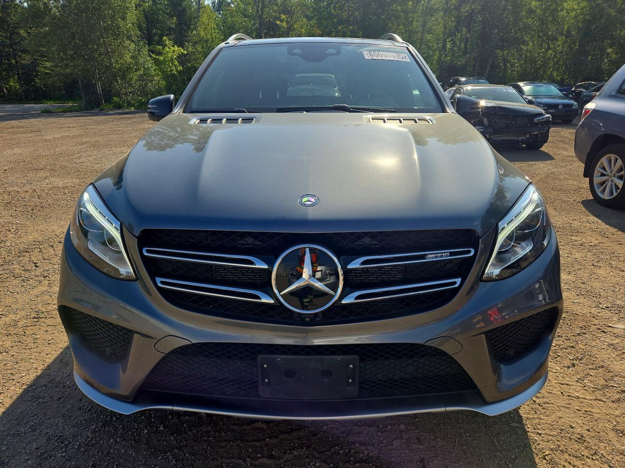 4JGDA6EB4HA825603 · 2017 MERCEDES-BENZ GLE · 5/13