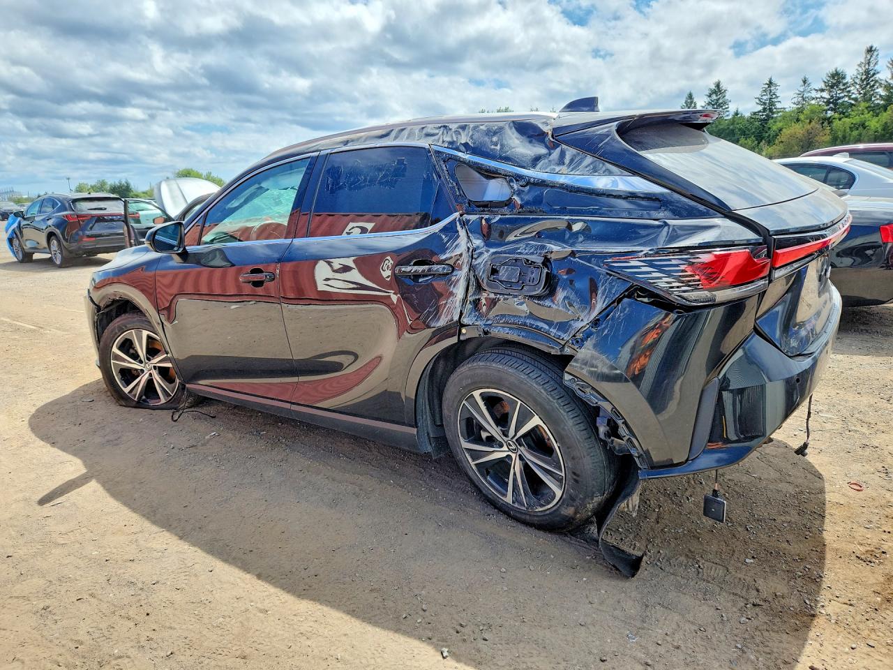 2T2BBMCA6RC038510 · 2024 LEXUS RX 350H · 2/14