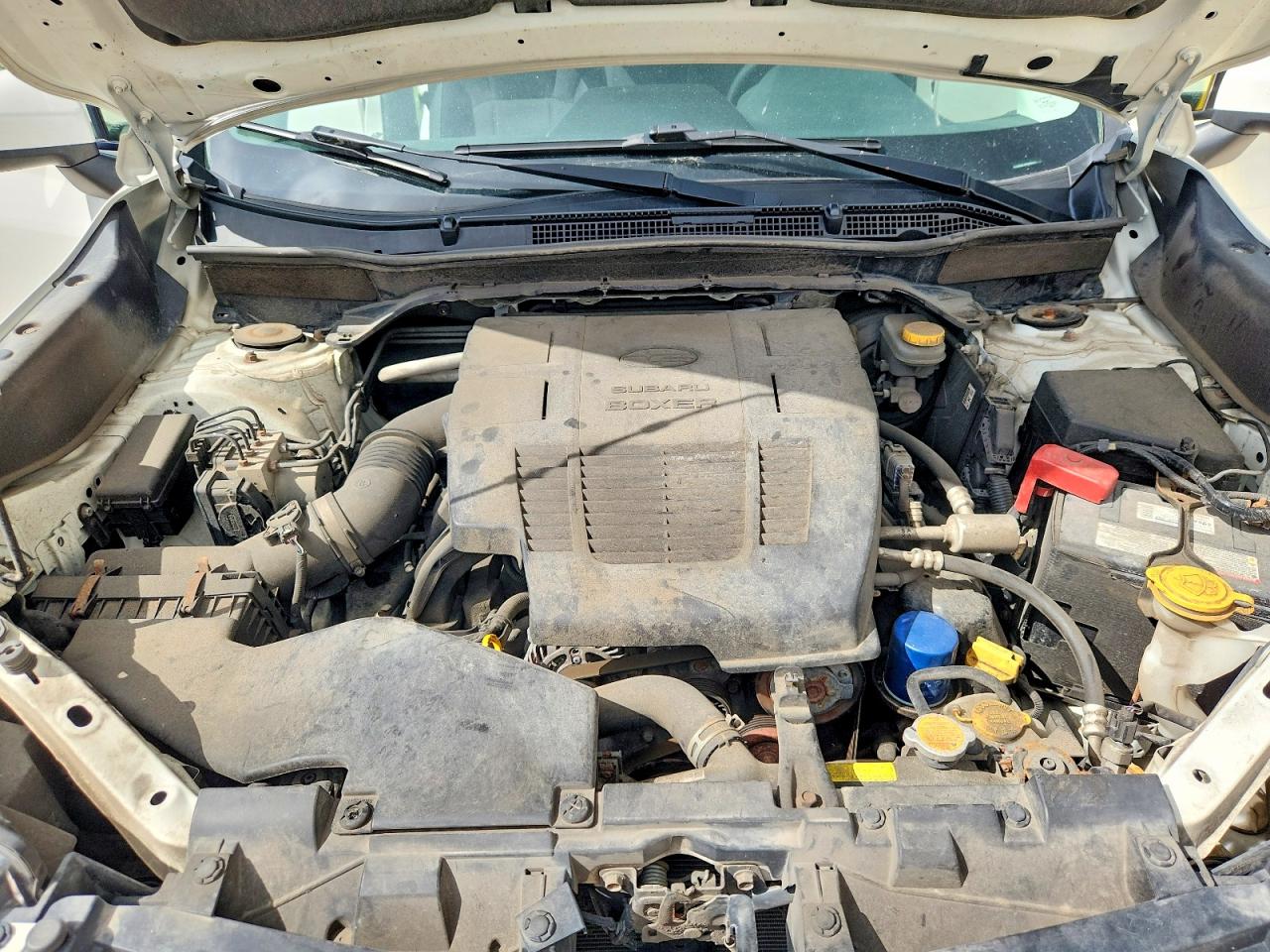 JF2SKEBC3KH446625 · 2019 SUBARU FORESTER · 12/14
