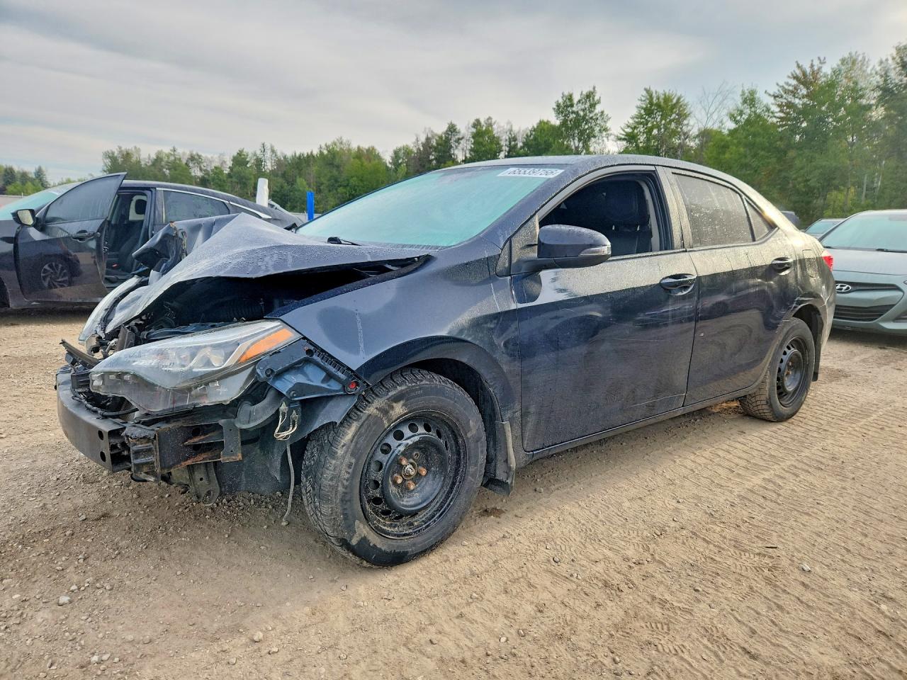 2019 TOYOTA COROLLA