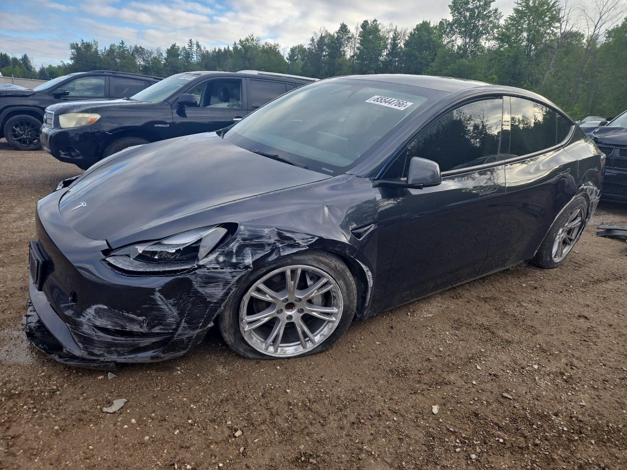 2024 TESLA MODEL Y