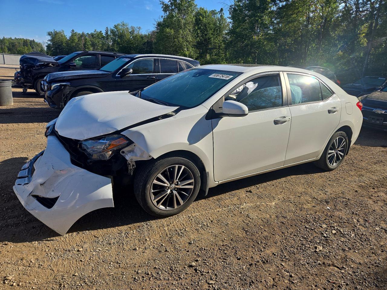 2019 TOYOTA COROLLA