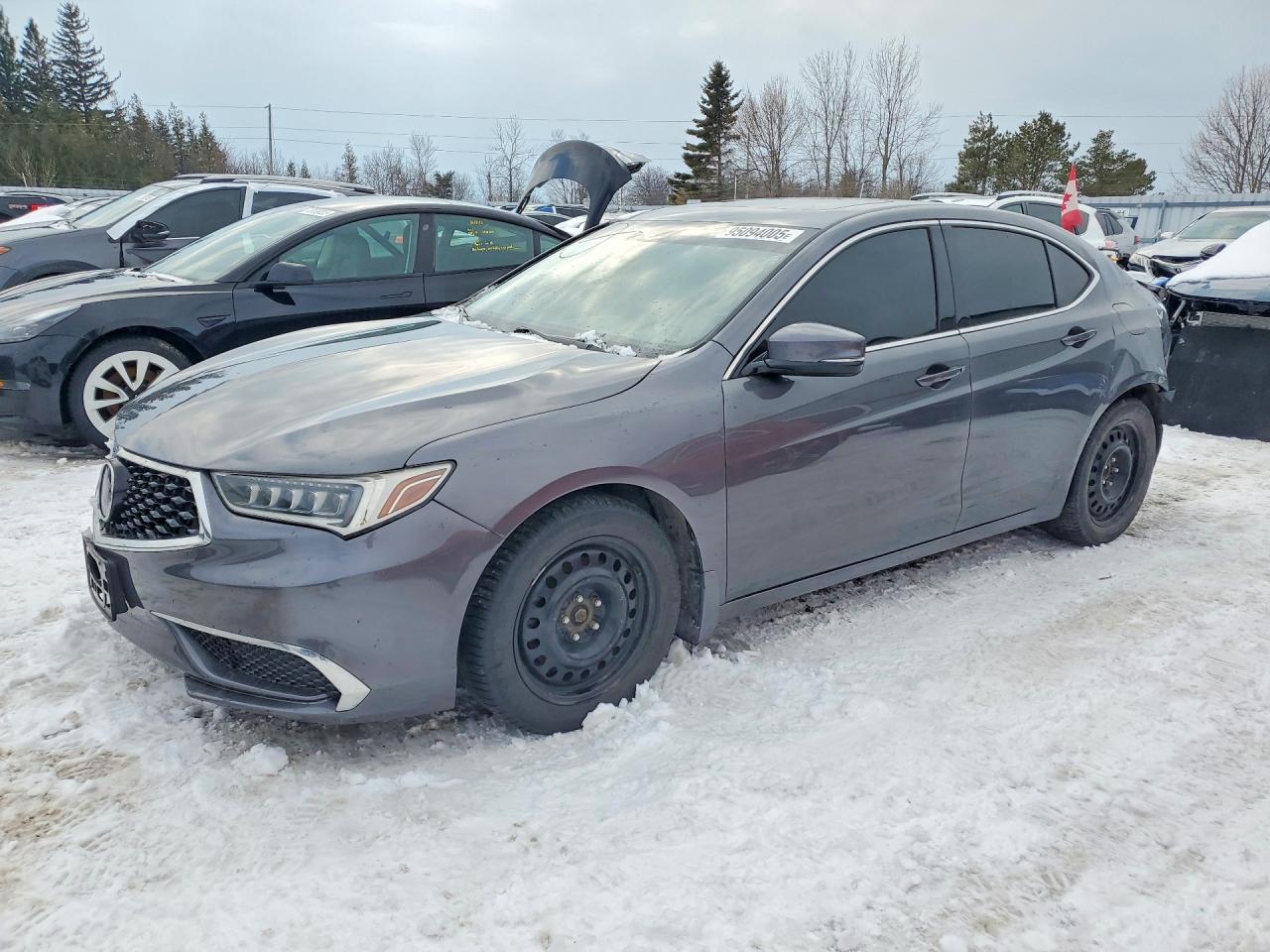 19UUB1F51KA800907 · 2019 ACURA TLX