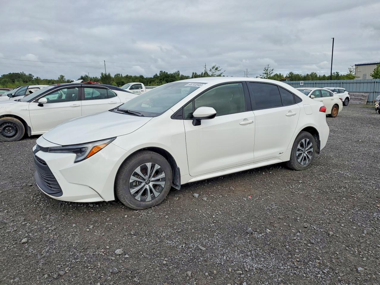 2025 TOYOTA COROLLA HYBRID