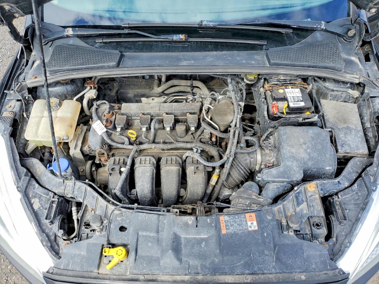 1FADP3F29FL296883 · 2015 FORD FOCUS · 11/13