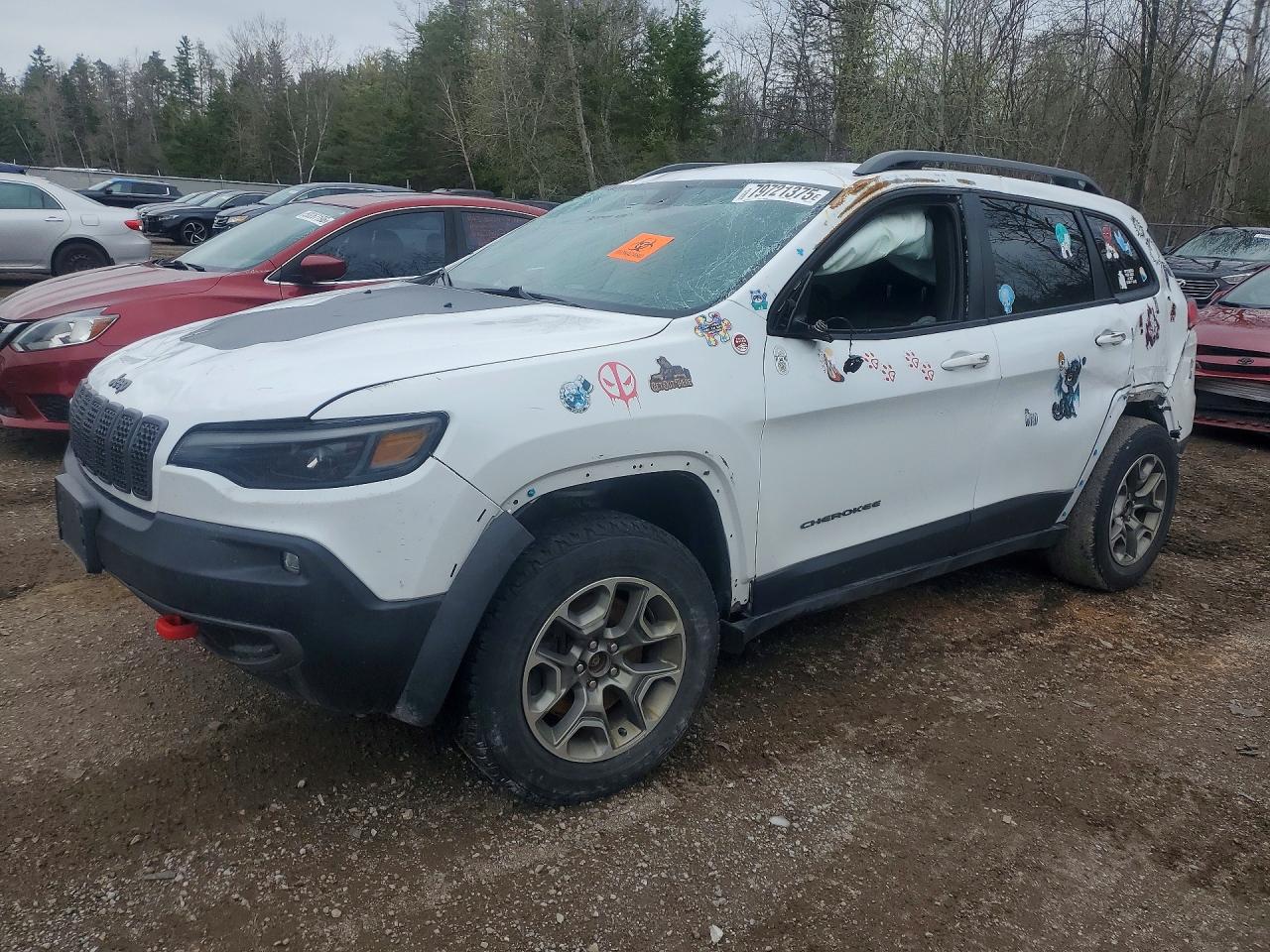 1C4PJMBX8LD517735 · 2020 JEEP CHEROKEE