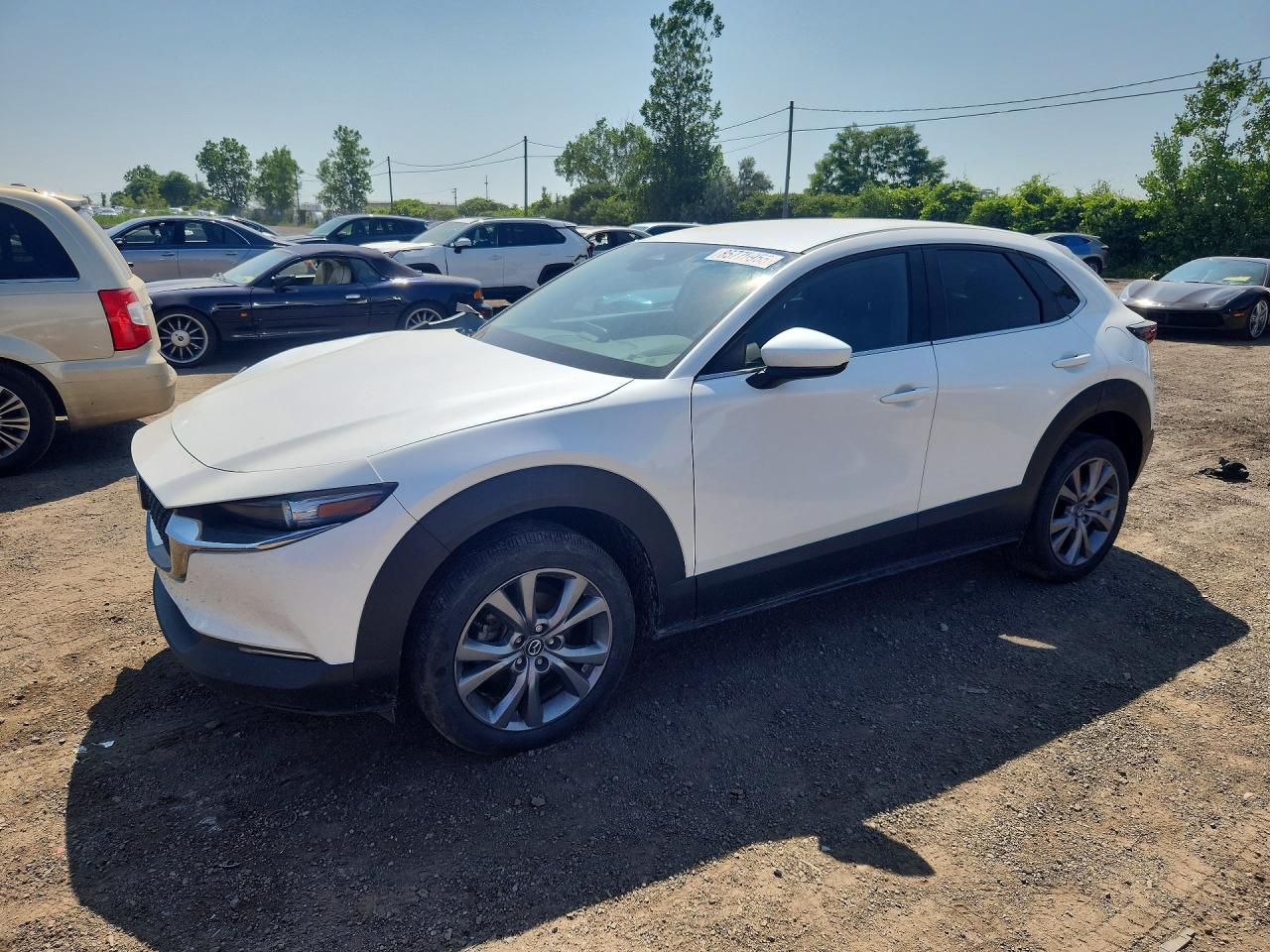 3MVDMBCM9RM683826 · 2024 MAZDA CX-30