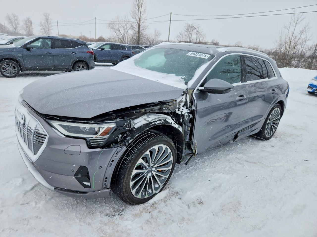 2019 AUDI E-TRON