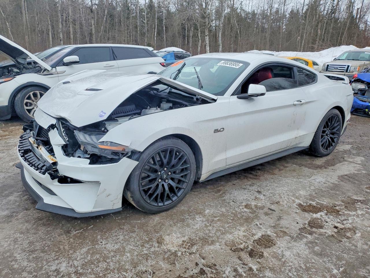 1FA6P8CF5N5120736 · 2022 FORD MUSTANG