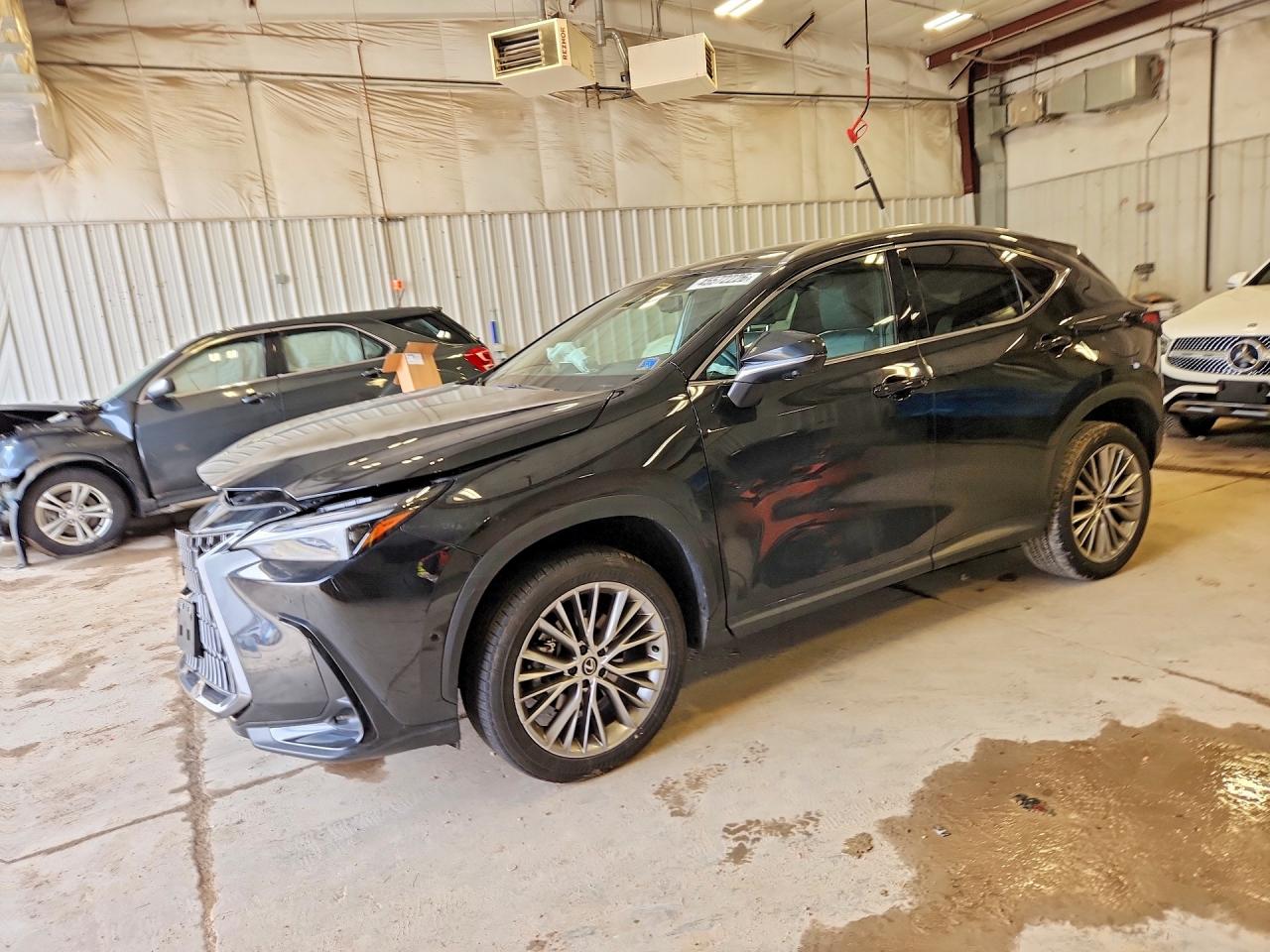 2T2HKCEZ5RC026159 · 2024 LEXUS NX 350H
