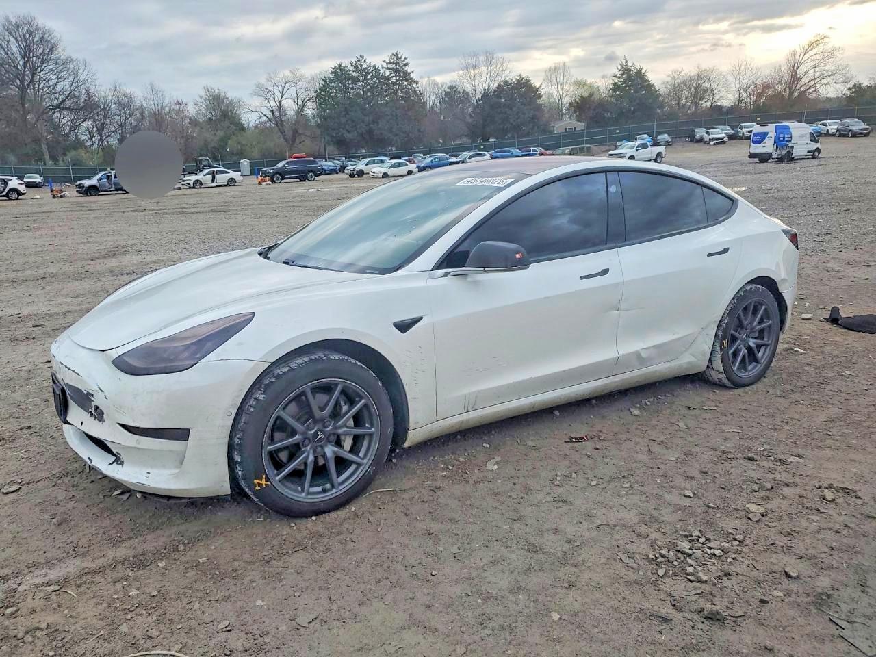 5YJ3E1EA1KF484061 · 2019 TESLA MODEL 3