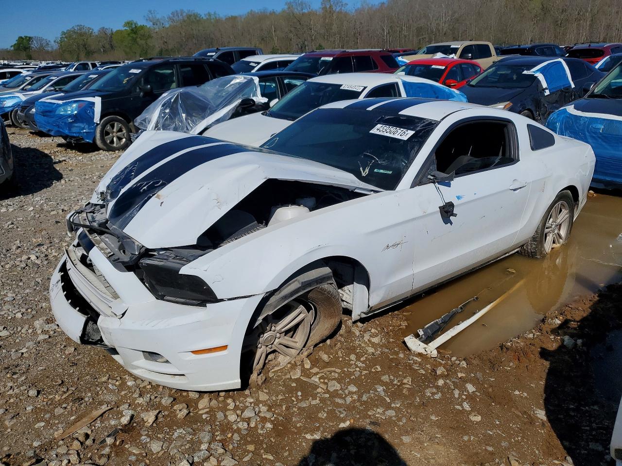 1ZVBP8AM7E5275313 · 2014 FORD MUSTANG