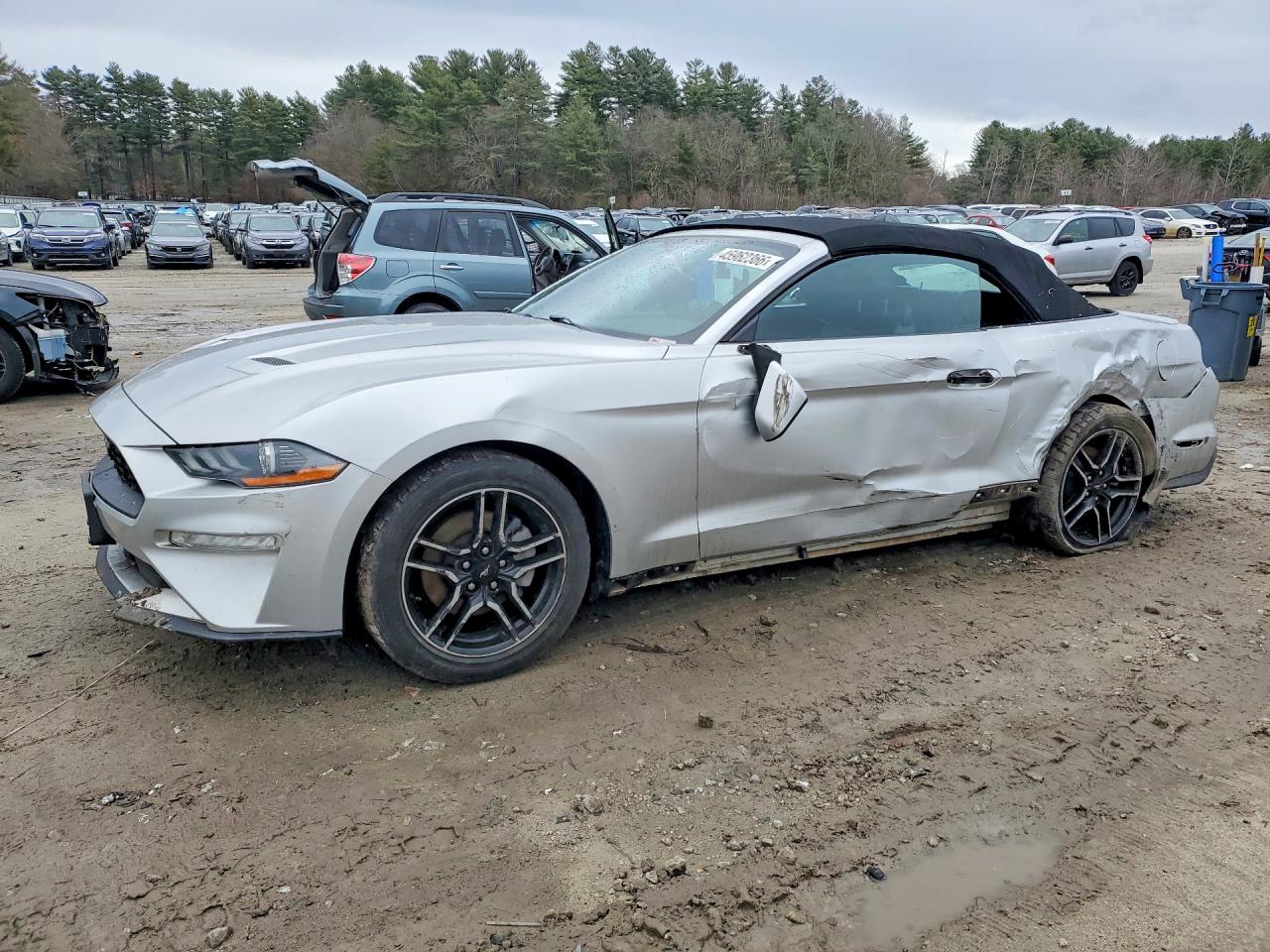 1FATP8UH2K5131207 · 2019 FORD MUSTANG