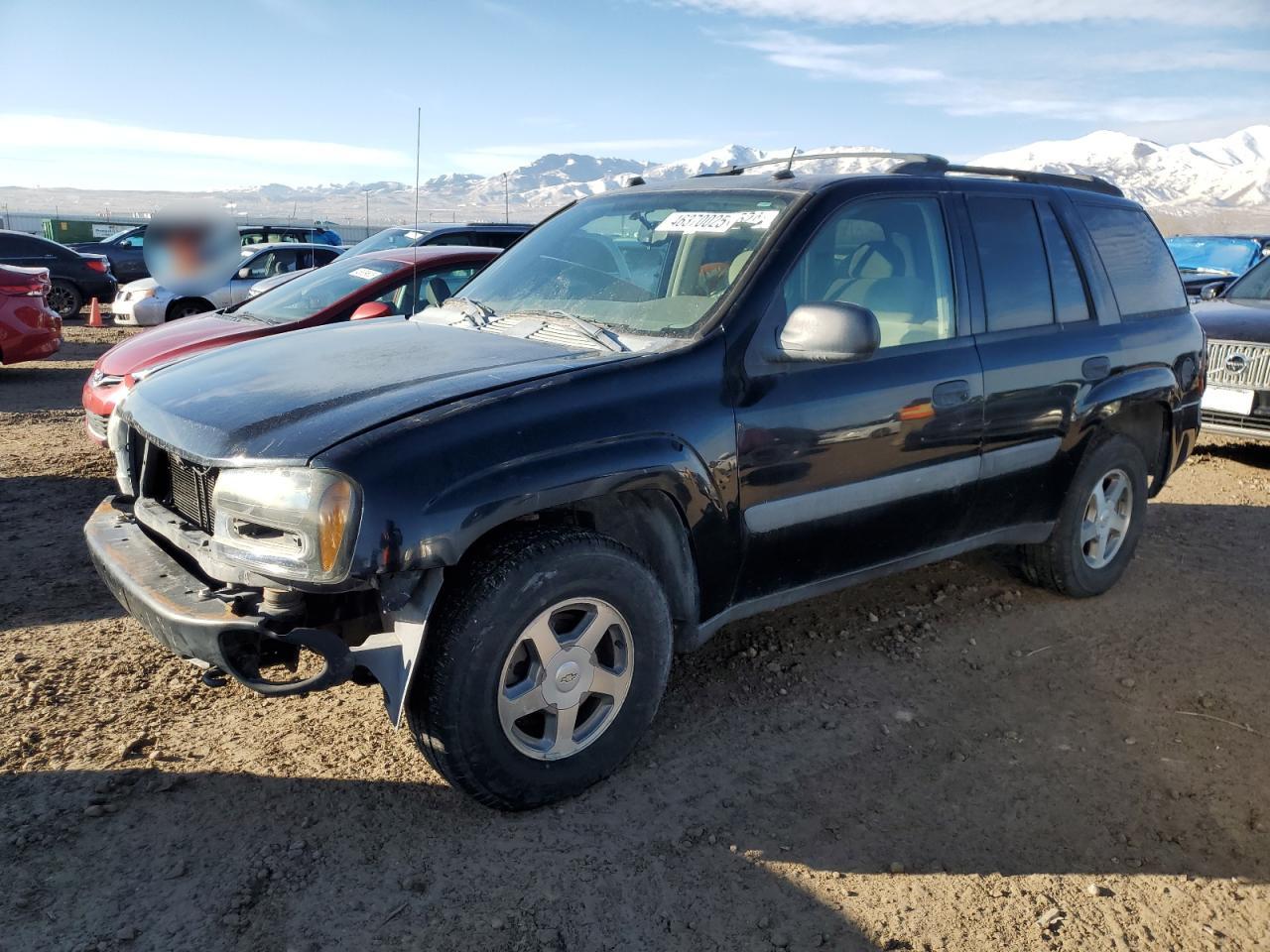 1GNDT13SX52233768 · 2005 CHEVROLET TRAILBLAZER