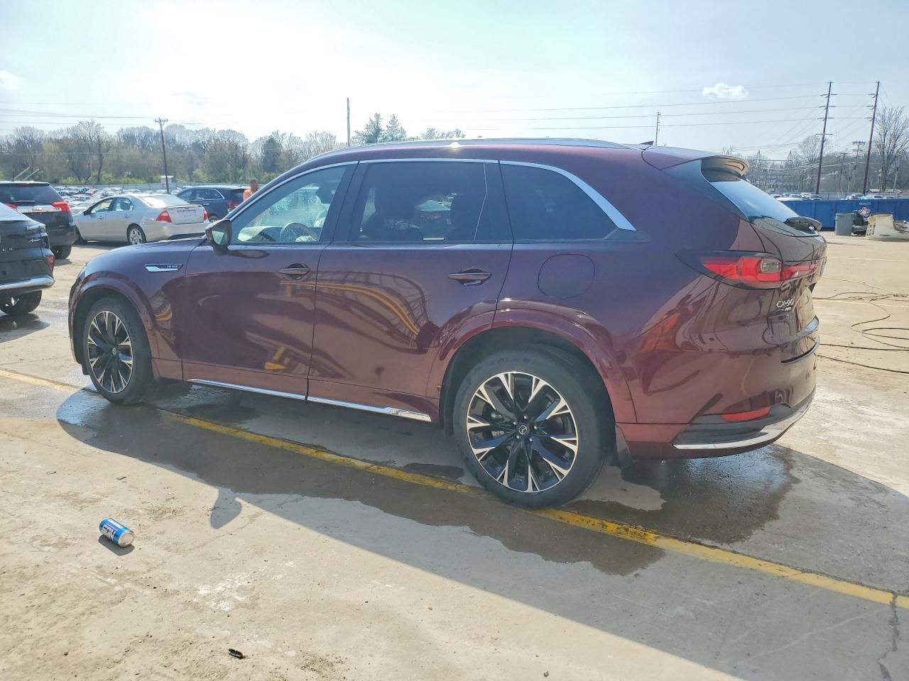 JM3KKEHC2S1223109 · 2025 MAZDA CX-90 · 2/13