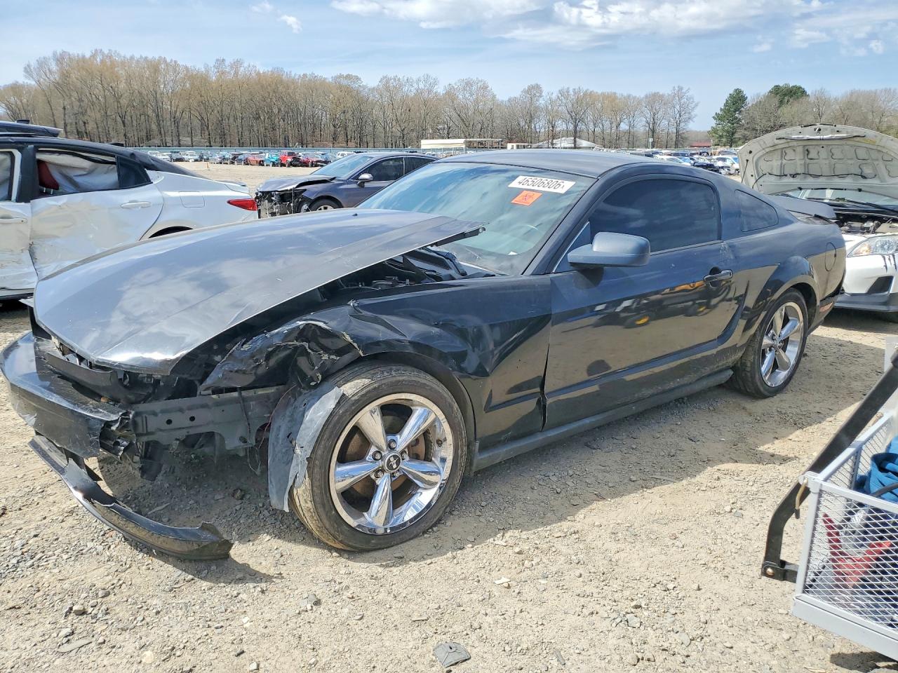1ZVHT80N685120319 · 2008 FORD MUSTANG