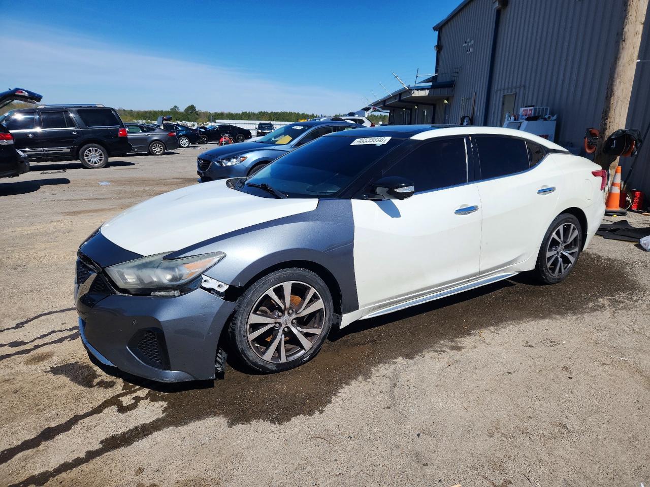 1N4AA6AP8GC906041 · 2016 NISSAN MAXIMA