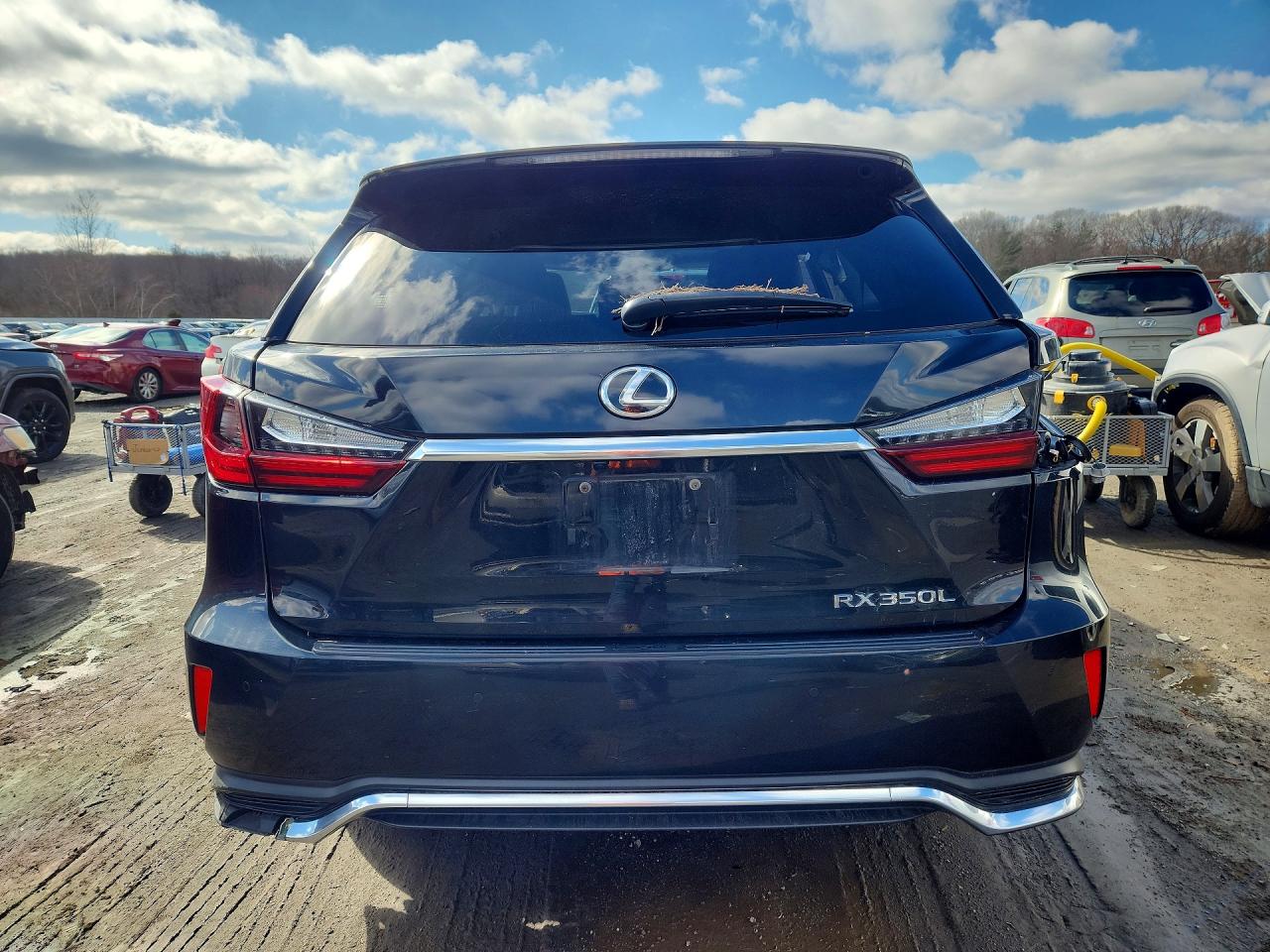 JTJDZKCA8J2005411 · 2018 LEXUS RX 350L · 6/13