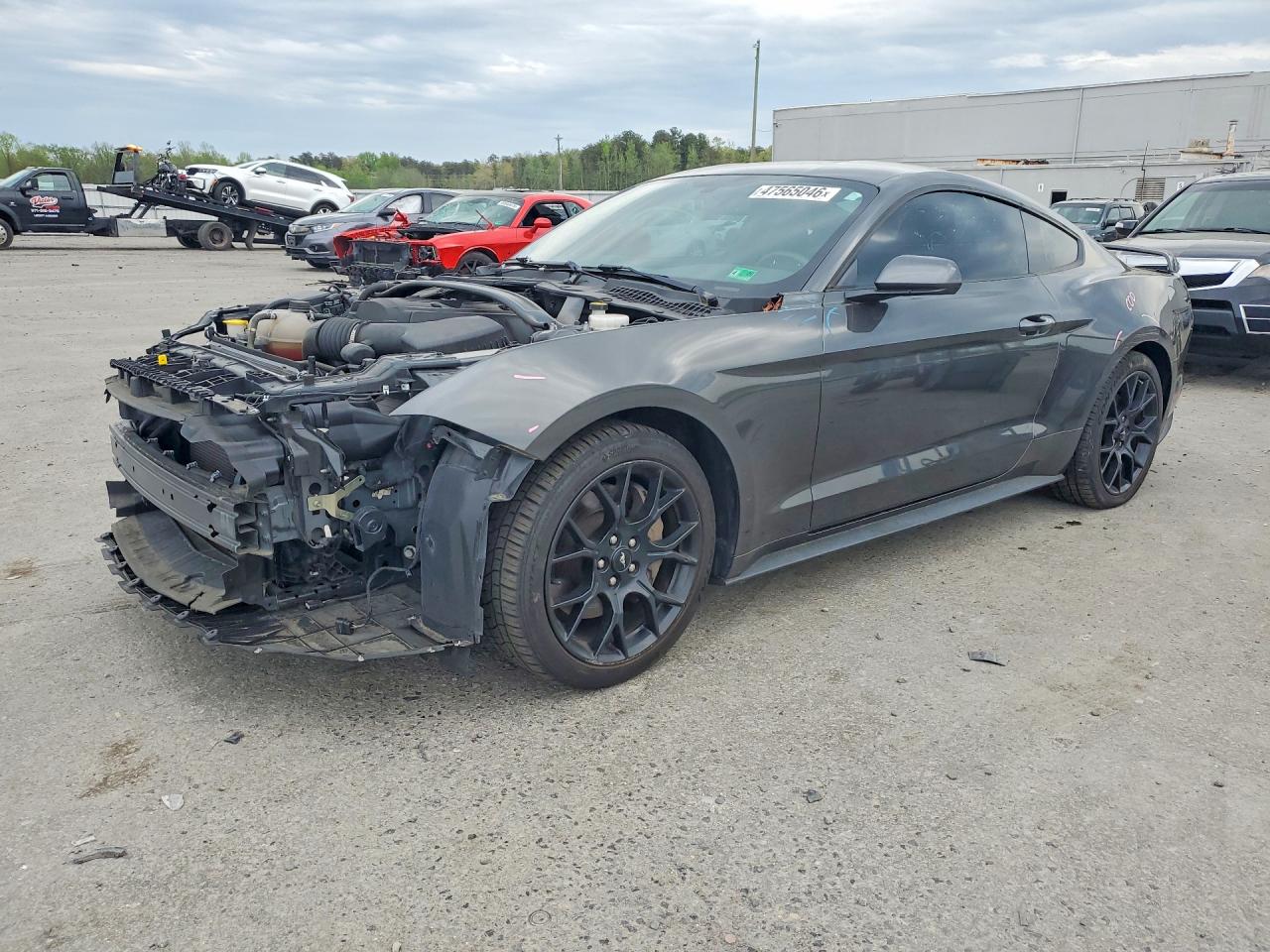 2019 FORD MUSTANG