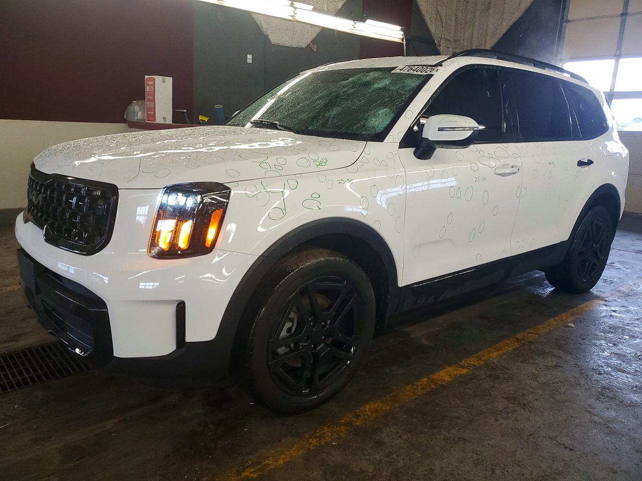 5XYP3DGC6SG666113 · 2025 KIA TELLURIDE