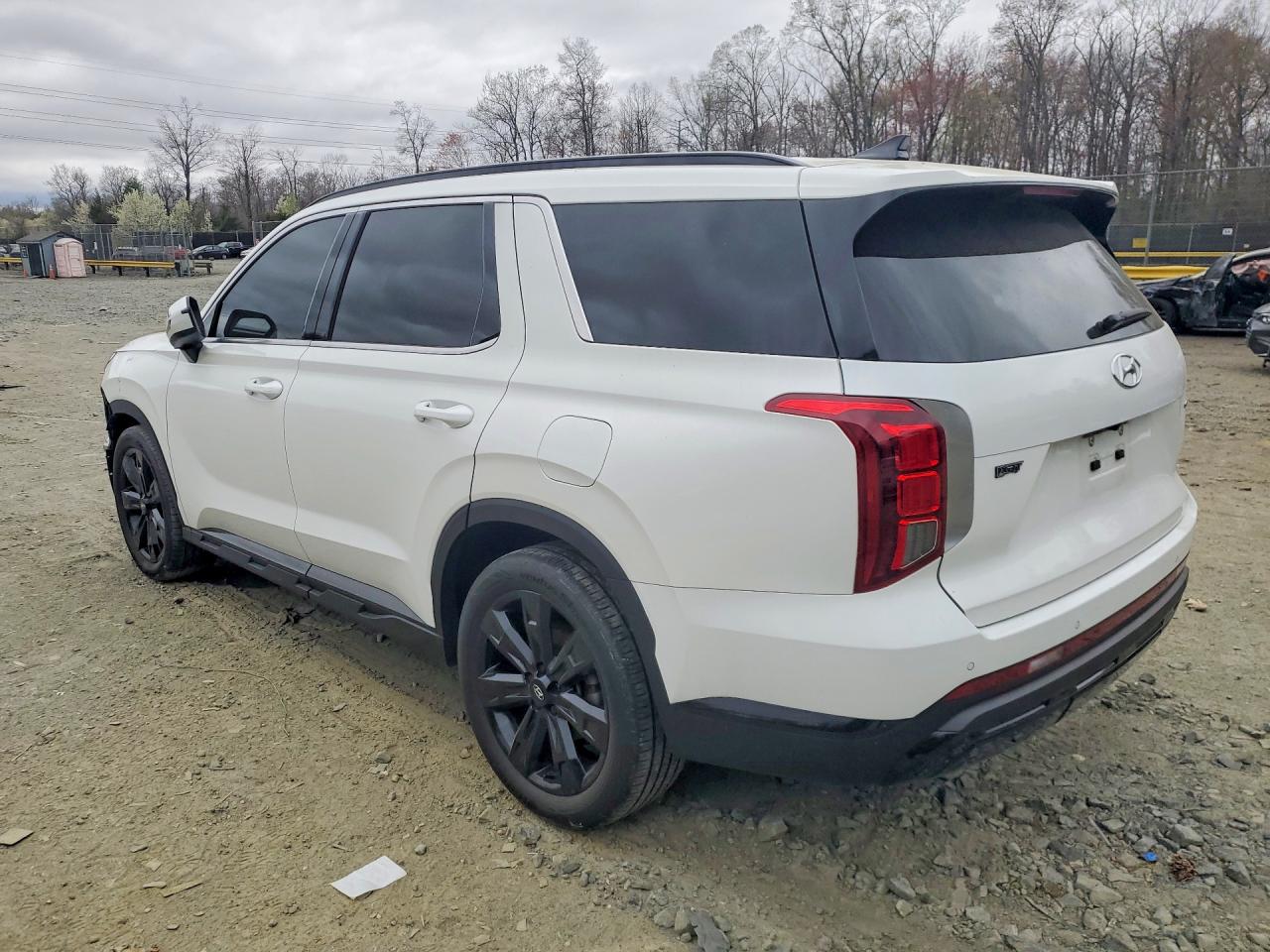 KM8R3DGE7PU574150 · 2023 HYUNDAI PALISADE · 2/14