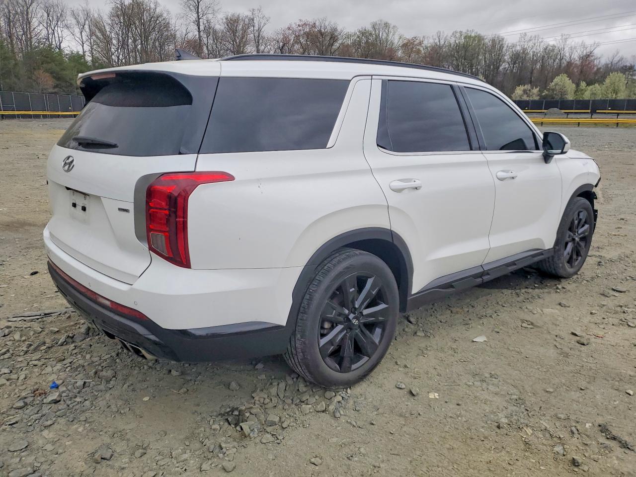 KM8R3DGE7PU574150 · 2023 HYUNDAI PALISADE · 3/14