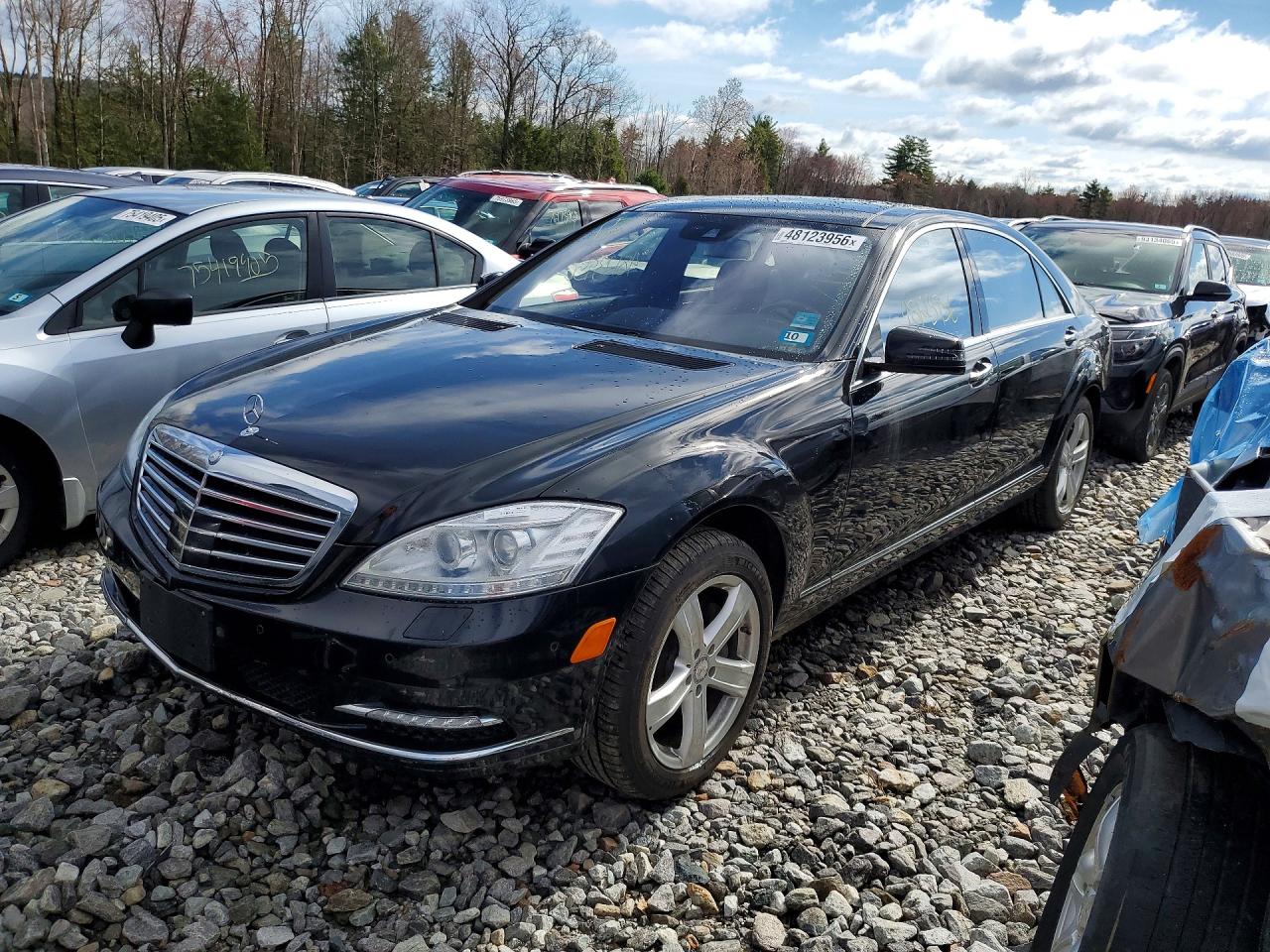 WDDNG9EB9DA511163 · 2013 MERCEDES-BENZ S
