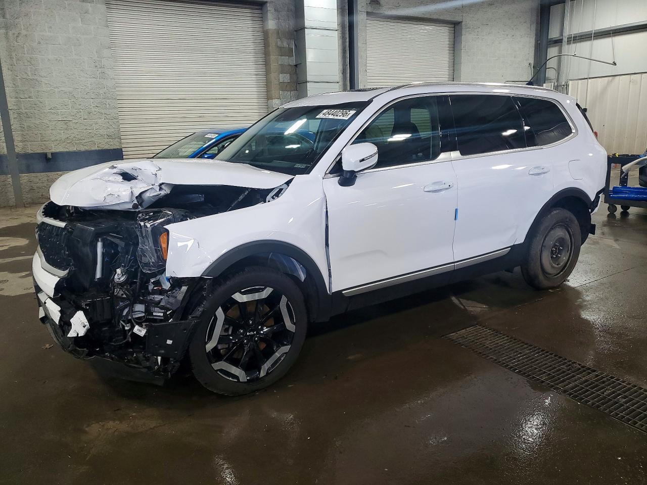 5XYP34GC8RG463783 · 2024 KIA TELLURIDE