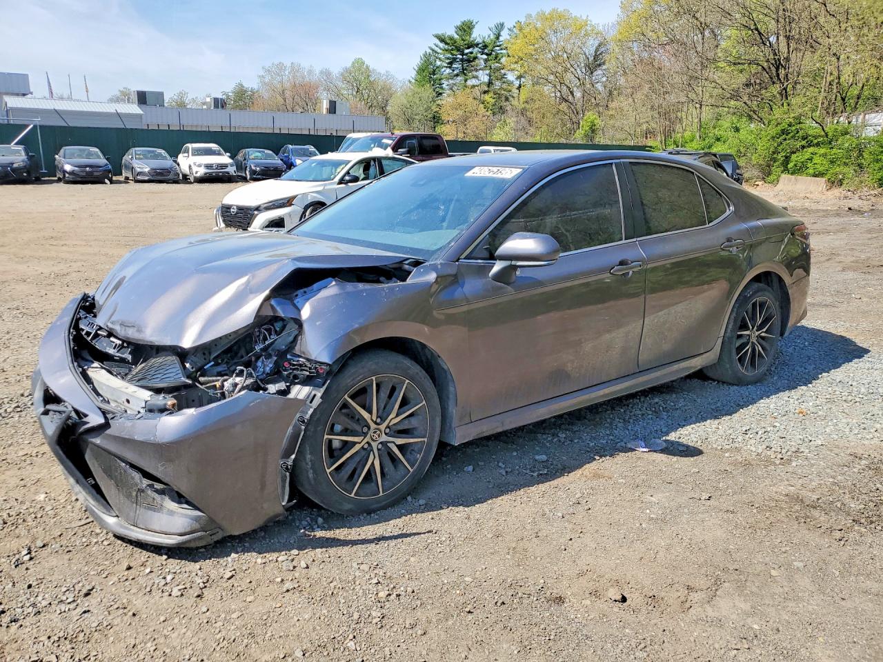 4T1G11AK7PU831561 · 2023 TOYOTA CAMRY