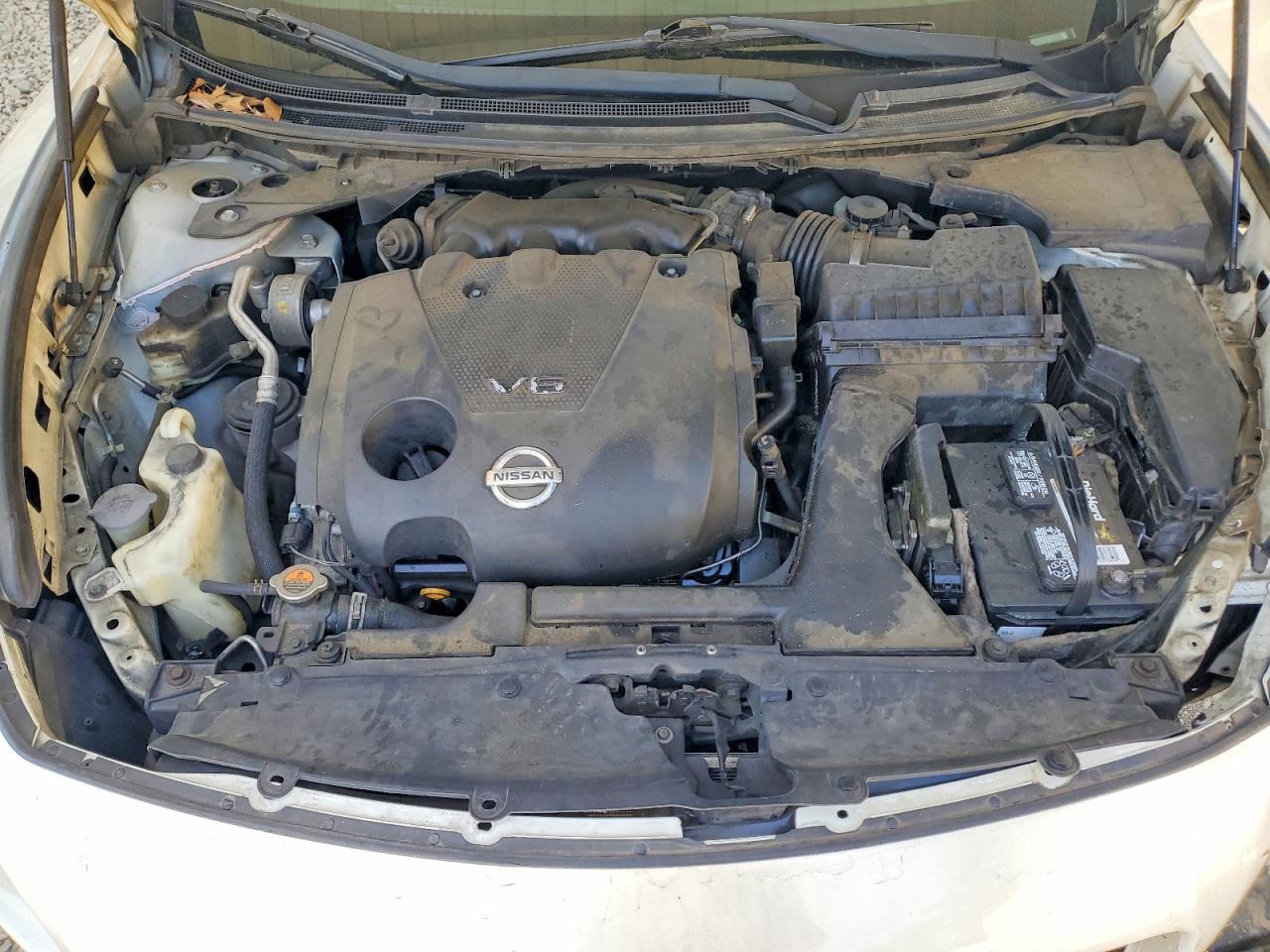 1N4AA5AP9EC494915 · 2014 NISSAN MAXIMA · 11/12