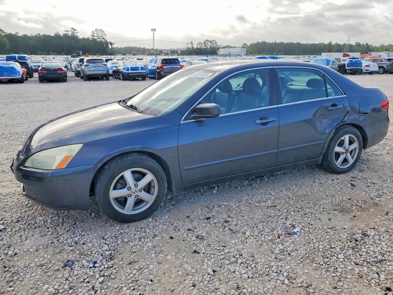 1HGCM56855A024583 · 2005 HONDA ACCORD