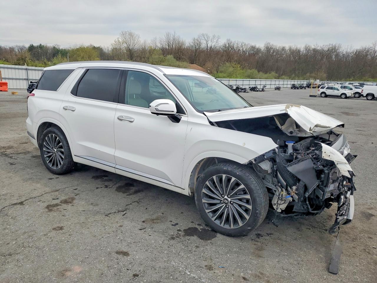 KM8R7DGEXPU540014 · 2023 HYUNDAI PALISADE · 4/13