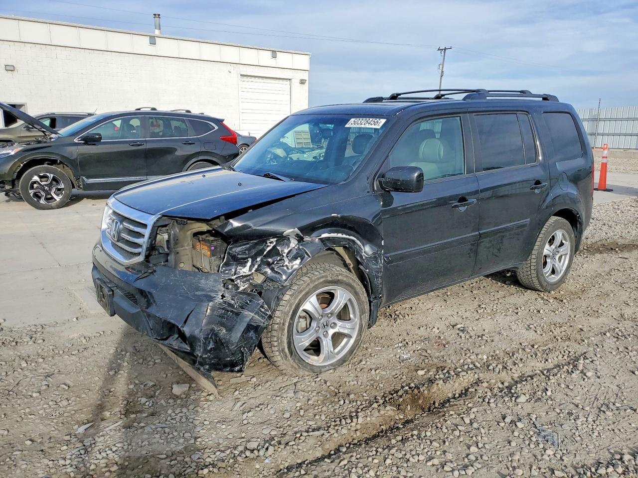 5FNYF4H56DB007700 · 2013 HONDA PILOT