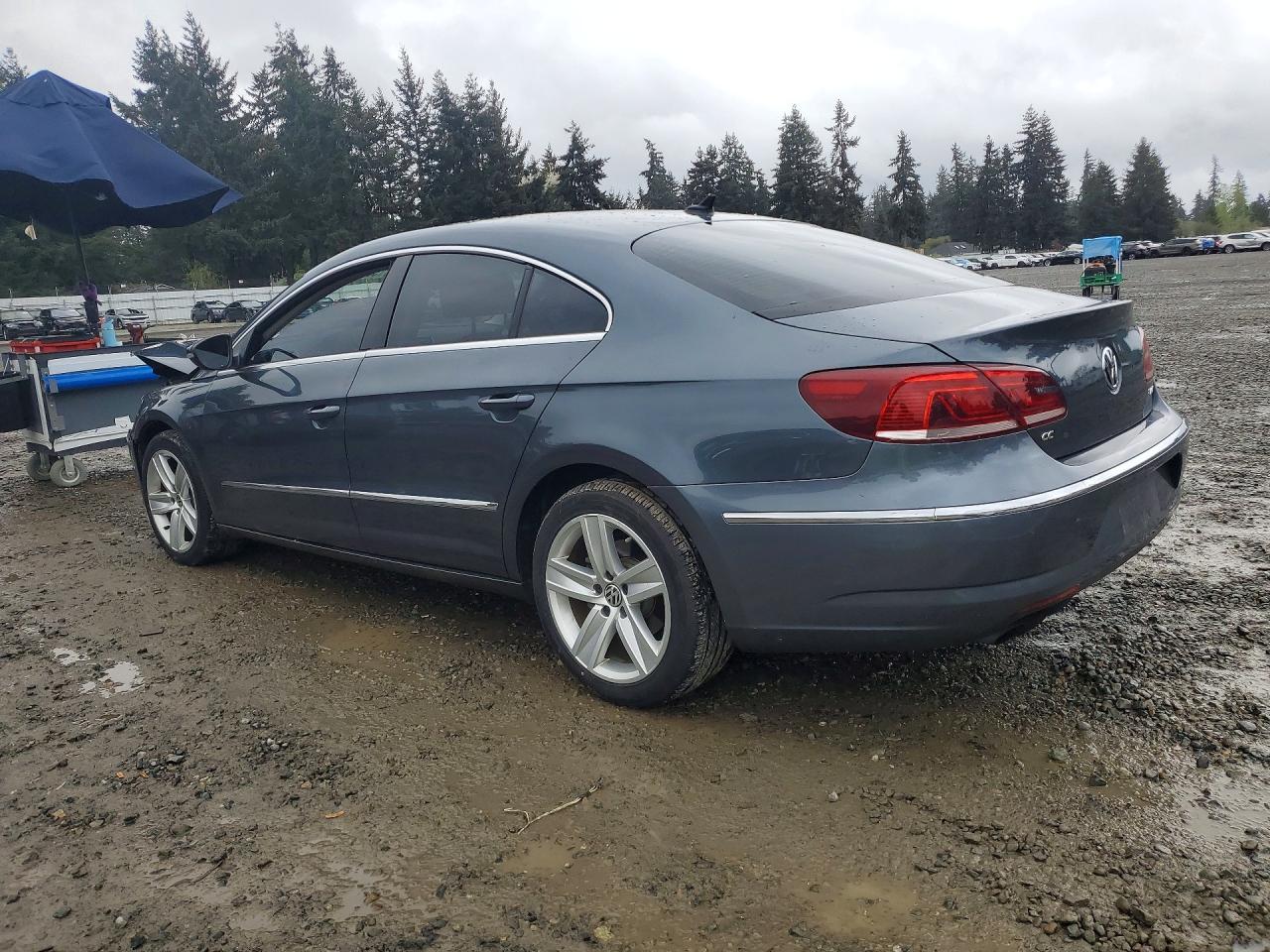 WVWAP7AN5DE505642 · 2013 VOLKSWAGEN CC · 2/12
