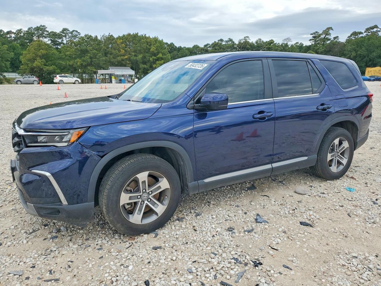 5FNYG2H42RB011405 · 2024 HONDA PILOT