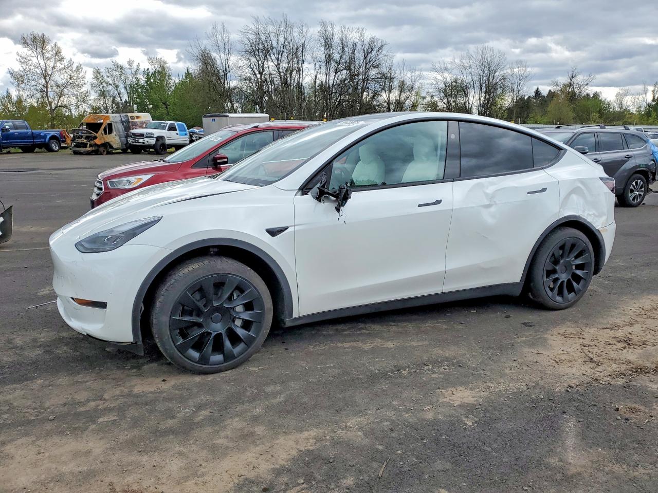 7SAYGDED0SF281595 · 2025 TESLA MODEL Y