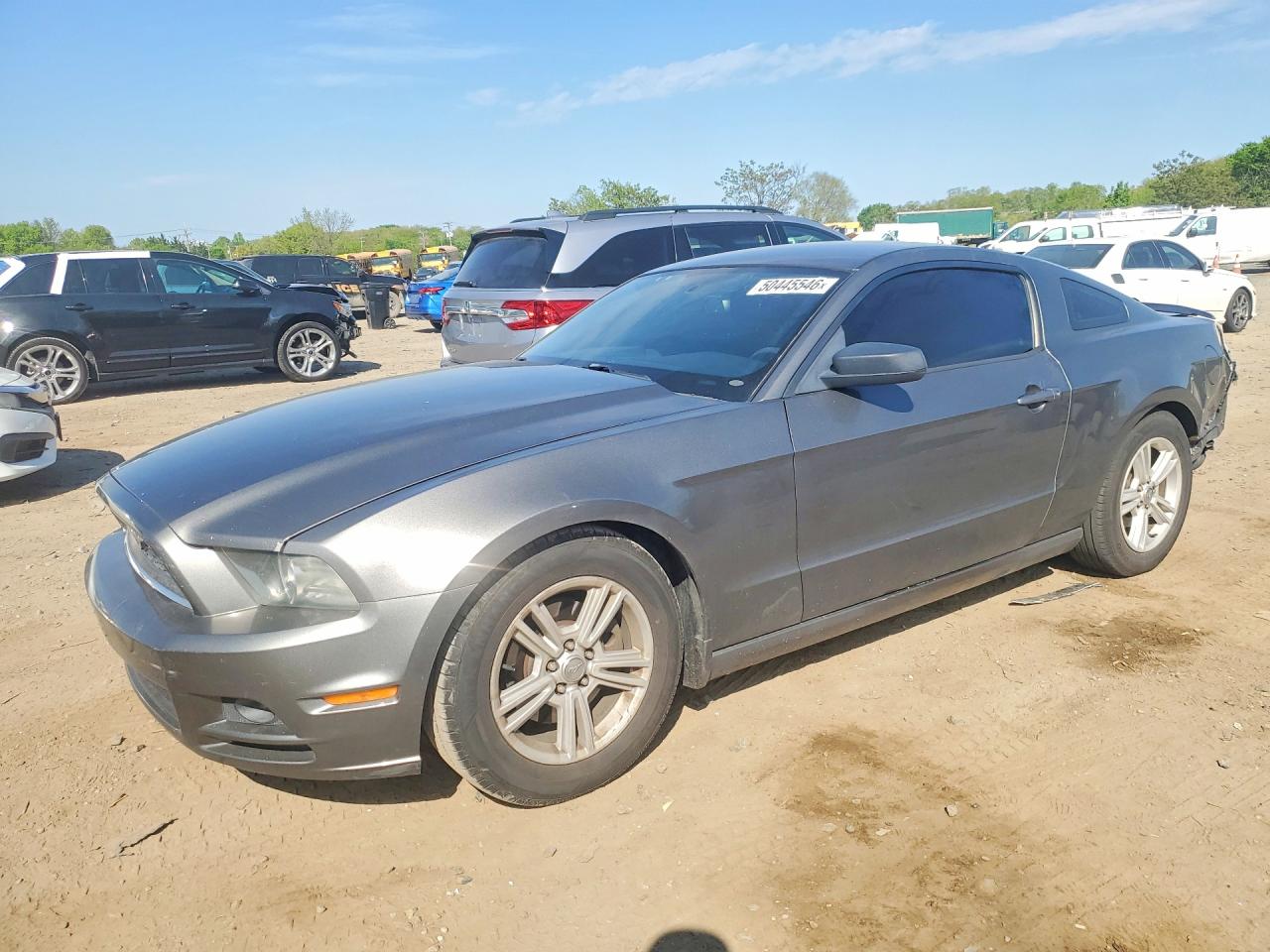 1ZVBP8AM4D5269614 · 2013 FORD MUSTANG