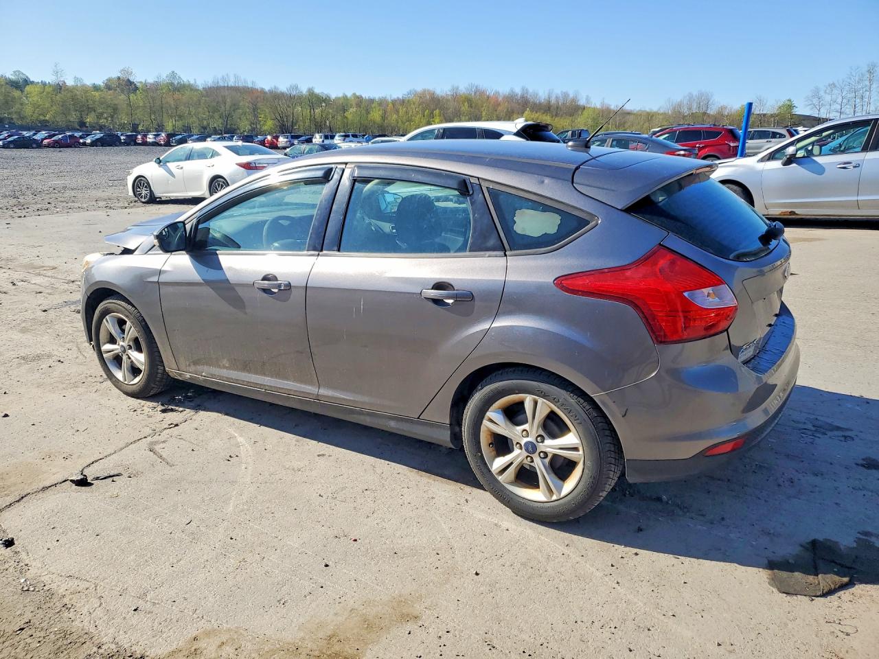1FADP3K26EL226942 · 2014 FORD FOCUS · 2/13