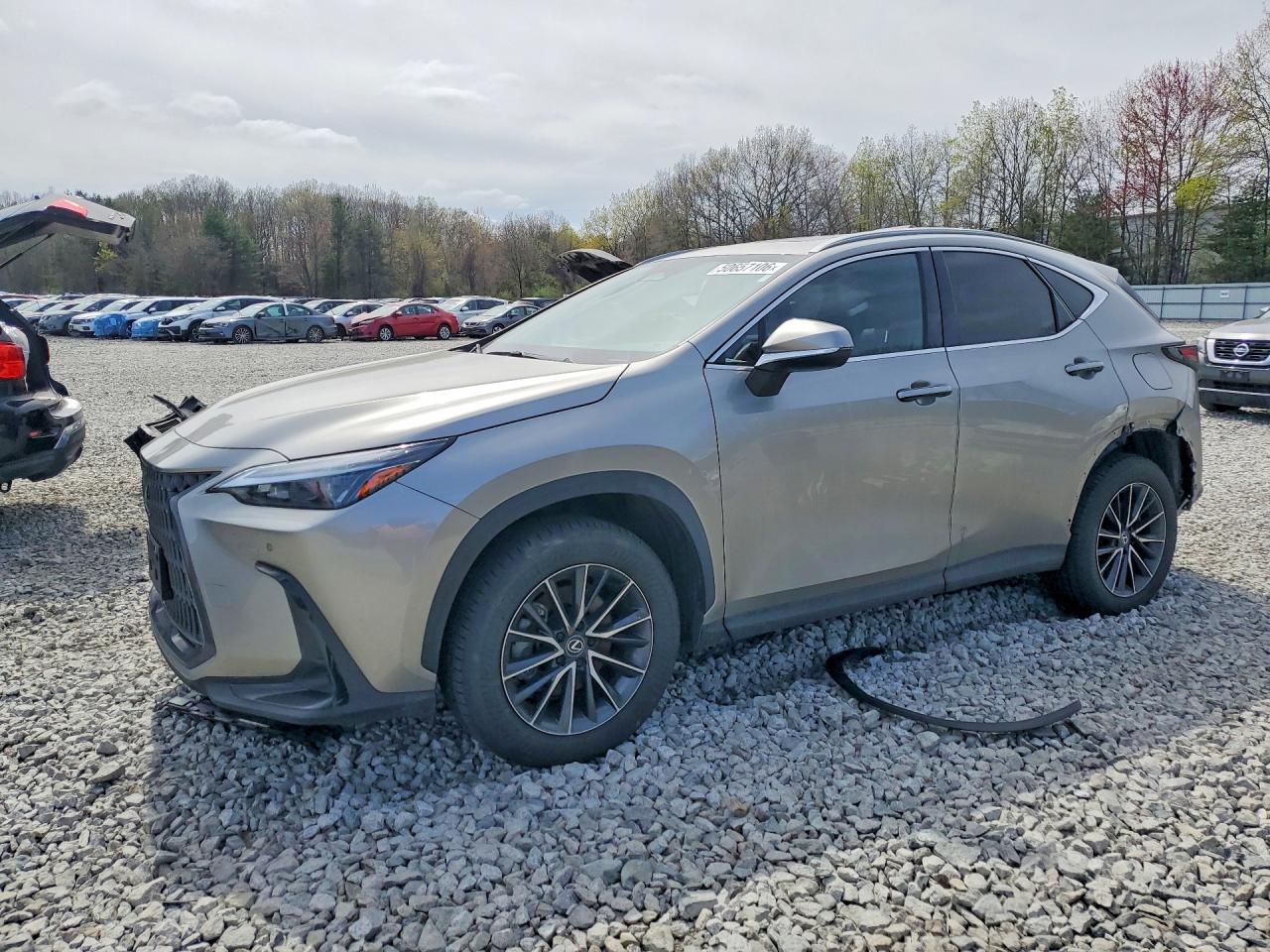 2T2GGCEZ2RC041179 · 2024 LEXUS NX 350