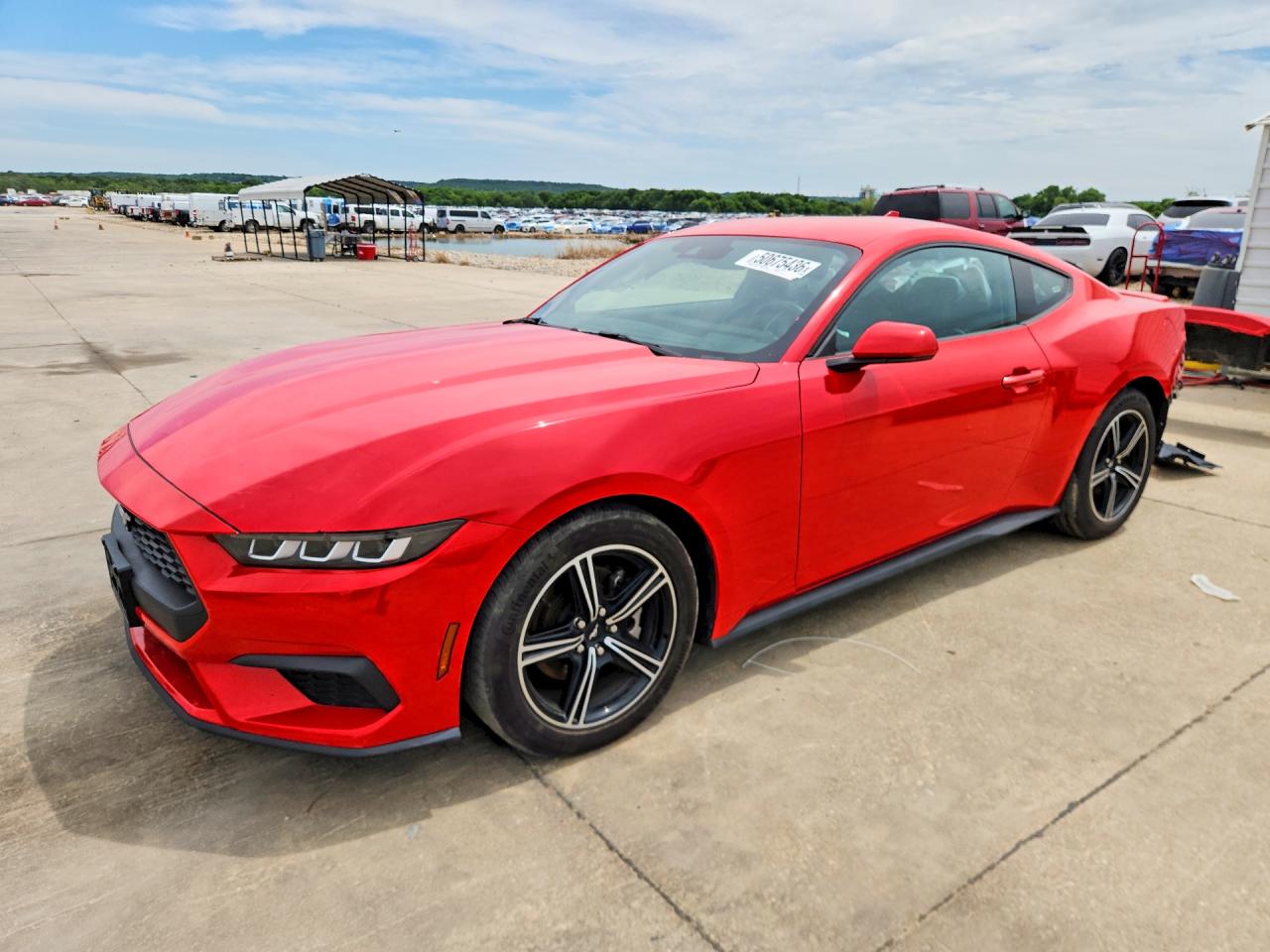 1FA6P8TH7R5120356 · 2024 FORD MUSTANG